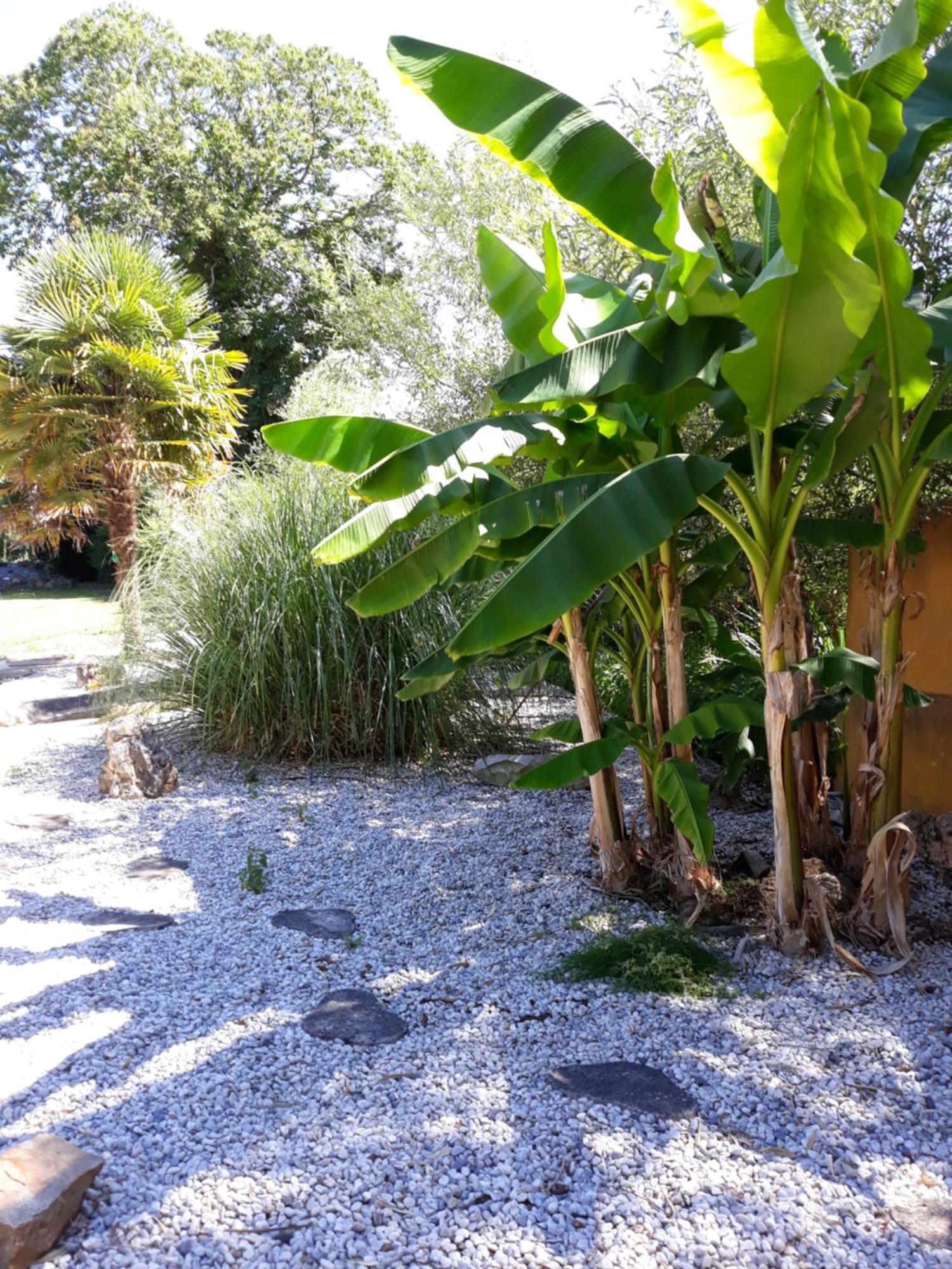 Privatunterkunft Suzana La Suze-sur-Sarthe